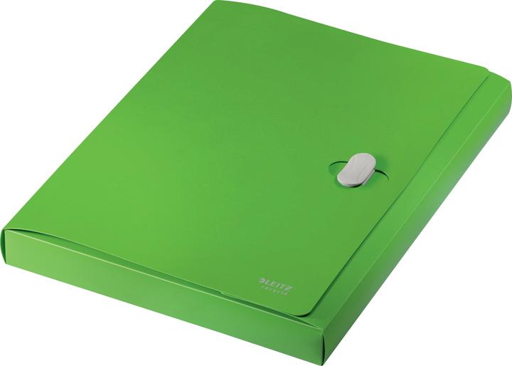 Actual product image Leitz Document Folder Recycle A4 Green (A4, 1 x)
