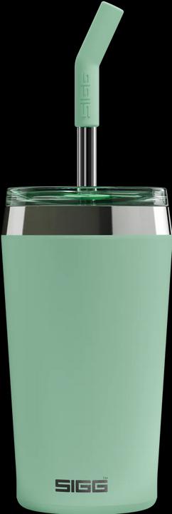 Actual product image Sigg Helia (0.60 l)