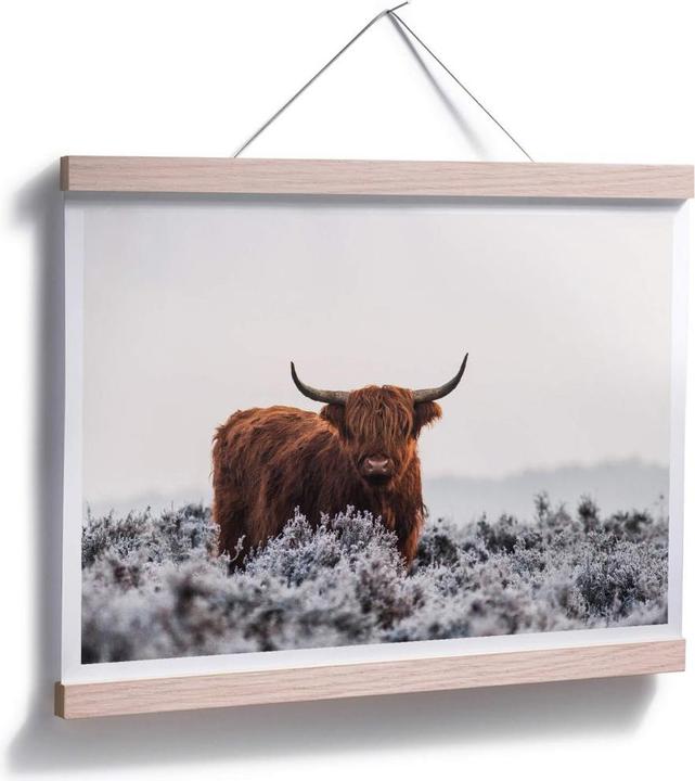 Immagine prodotto Trenddeko van den Helm - Highlander (30 x 24 cm)