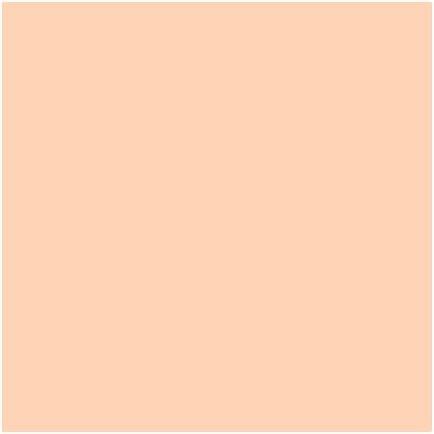 Actual product image Estée Lauder Pure Color (2C2 Pale Almond)