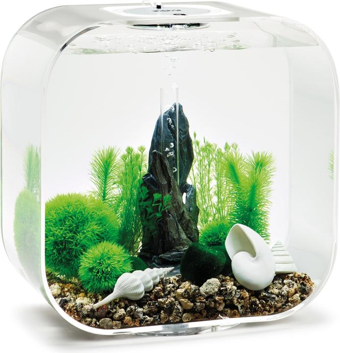Actual product image Oase biOrb Aquarium 30 Decor Set (Embellishment, other buildings)