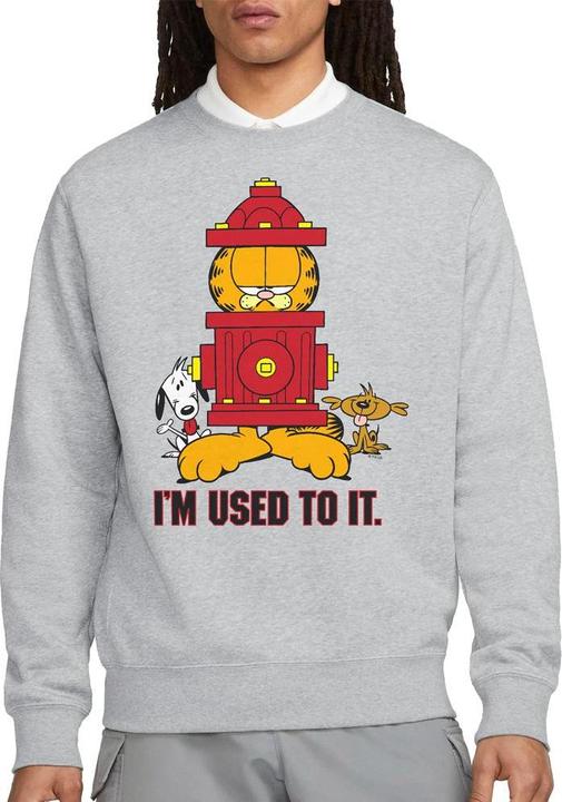 Immagine prodotto Garfield I'm Used to It Felpa Adulto Unisex (M)
