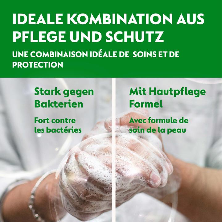 Actual product image Dettol No Touch (Liquid soap, refill, 250 ml)