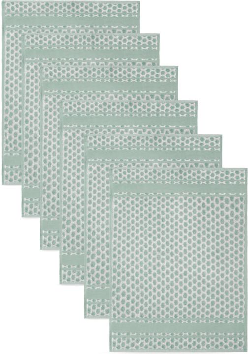 Aspero 6 Frottee Baumwoll Geschirrtücher (50 x 70 cm)