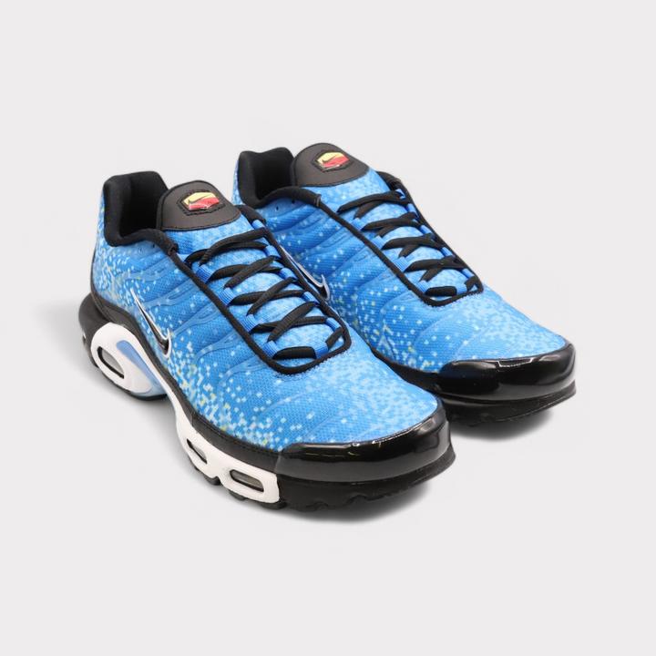 Actual product image Nike Air Max Plus (43)