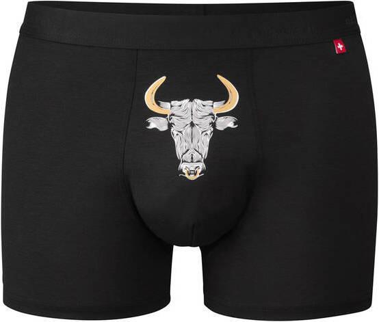 ISA Bodywear Panty Andy (M, Einzelpack)