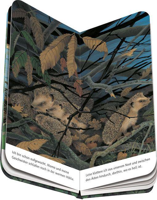 Produktbild Ravensburger Ich bin der kleine Igel (Deutsch, Gisela Stottele, 2023)