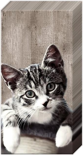 IHR Taschentuch Kasimir Katze