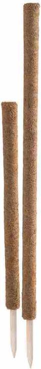 Produktbild Siena Garden Rankstab (5 cm, 5 cm)
