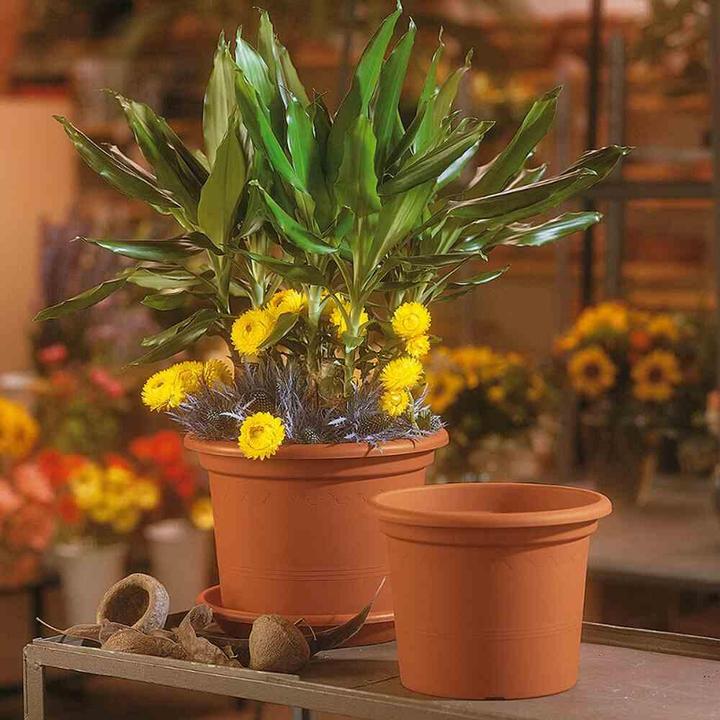 Productafbeelding Euro3plast Plantenbak (20 cm)