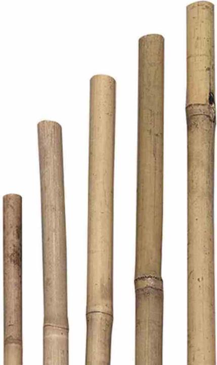 Produktbild Siena Garden Pflanzstab (93 cm, 40 cm)