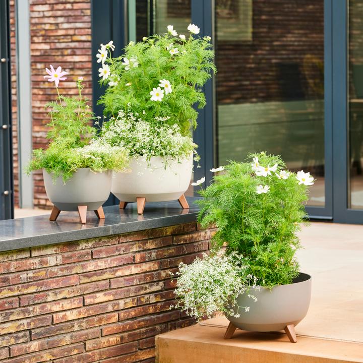 Produktbild Siena Garden Oslo (29 cm)