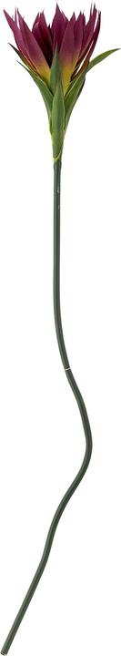 Actual product image Bloomingville Lily (76 cm)