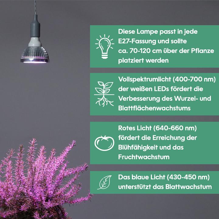Immagine prodotto Venso crescere la luce (LED, 245 V)