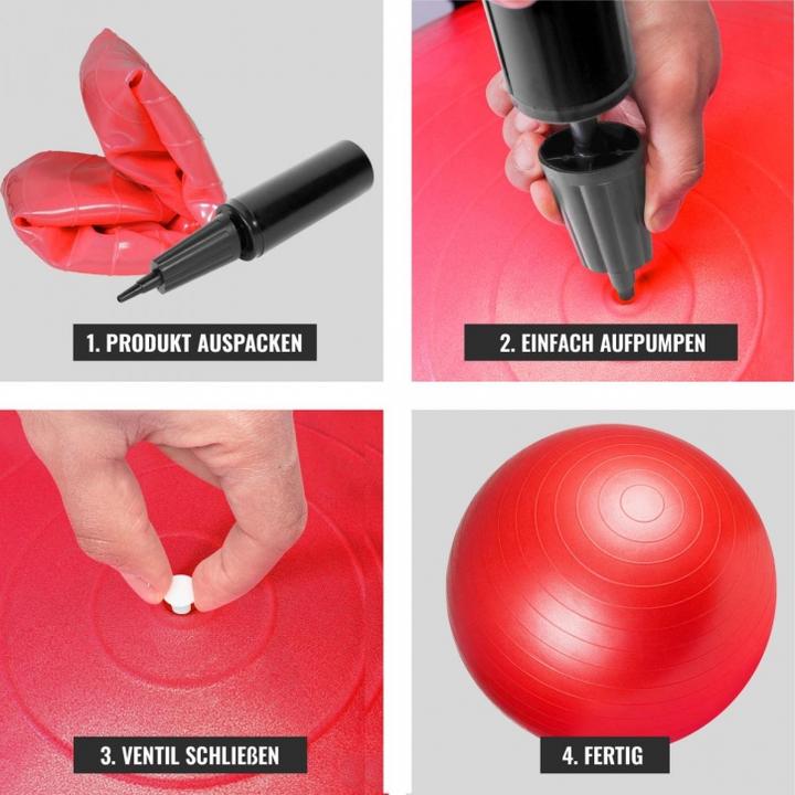 Image du produit Gorilla Sports Gymnastikball (55 cm)