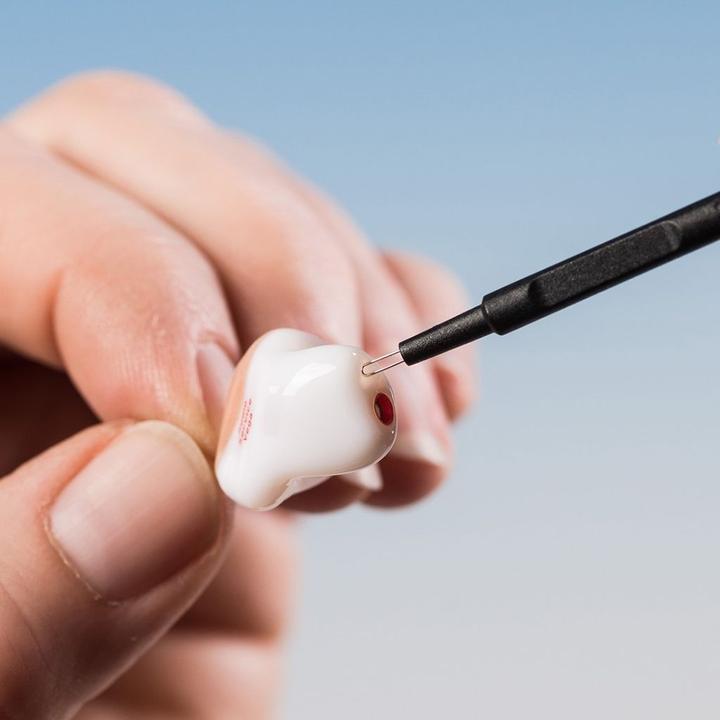 Actual product image Bachmaier oto-fresh cerumen brush