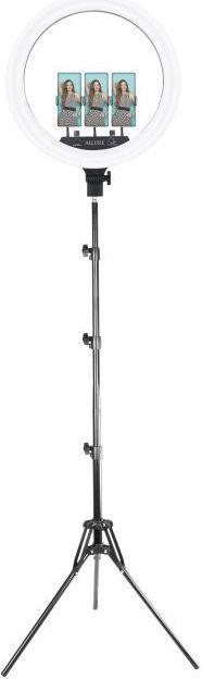 Old Shark 18" LED Ringleuchte & 210 cm Stativ (Ringleuchte)