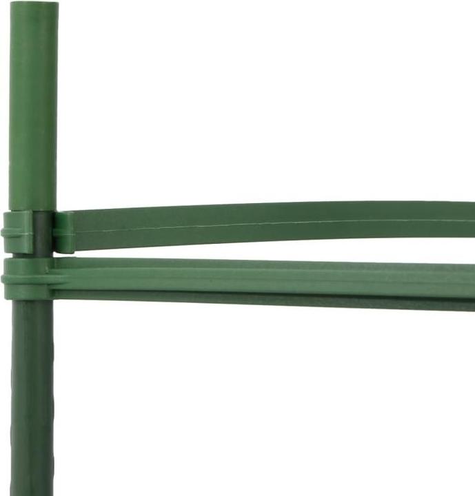 Produktbild VidaXL Tomatenkäfig 2 Stk. 116 cm und PP