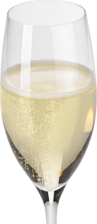 Actual product image WMF Easy Plus champagne glasses set of 6, 250ml, crystal glasses, dishwasher safe (25 cl, 6 Glasses, White wine glasses)