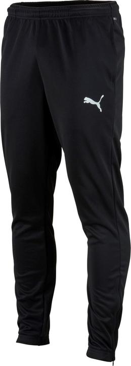 Actual product image Puma teamRISE Poly Training Pants JR (164)