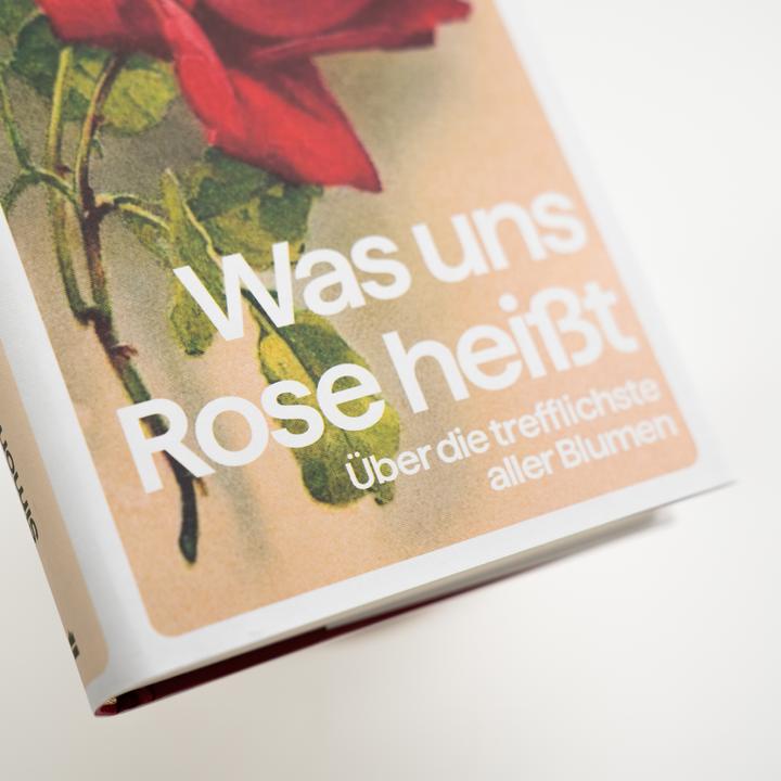 Image du produit Morley:»Was uns Rose heisst« - Über die (Allemand, Simon Morley, 2024)