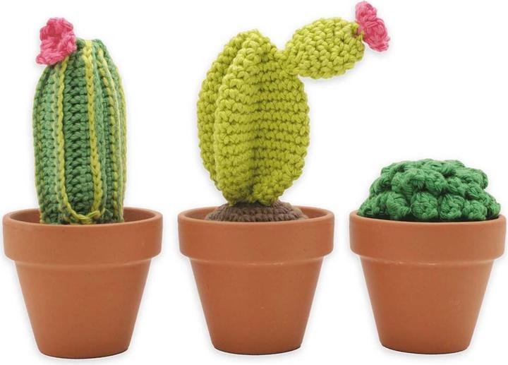 Hardicraft Cactus - Kit de crochet