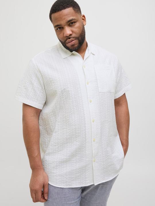 Immagine prodotto Jack & Jones Plus Size Relaxed Fit Hemd Hemd (4XL)