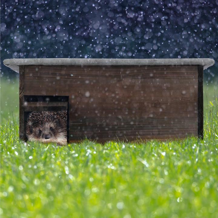 Image du produit Relaxdays Armoire à chats (Chien)