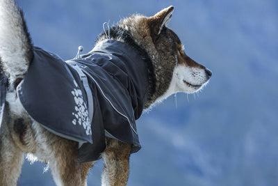 Image du produit Hurtta Monsoon Coat bilberry (65, Manteau pour chien)