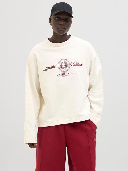 Actual product image Jack & Jones Jordia Sweat Crew Neck Ss25 (XXL)