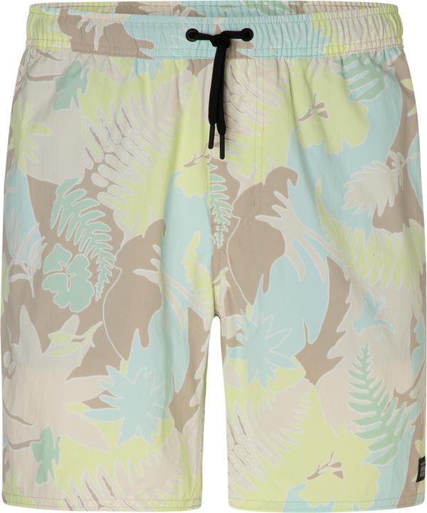 Mountain Hardwear Stryder Boardshorts