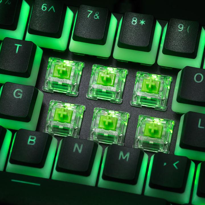 Produktbild Glorious PC Gaming Race Glorious Raptor Switch, mechanisch, 5-Pin, clicky, MX-Stem, 55g - 36 Stück