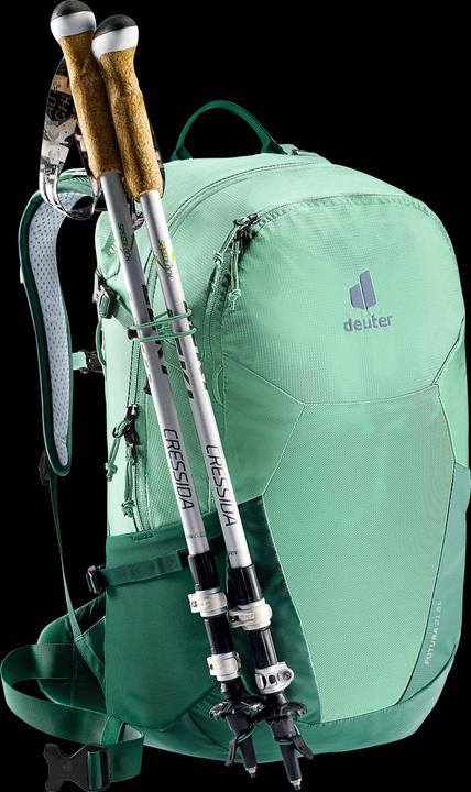 Actual product image Deuter Futura 21 (21 l)
