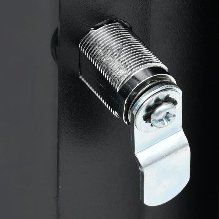 Actual product image VidaXL Coffret de réseau (10.86 RU, 19 inch rack)
