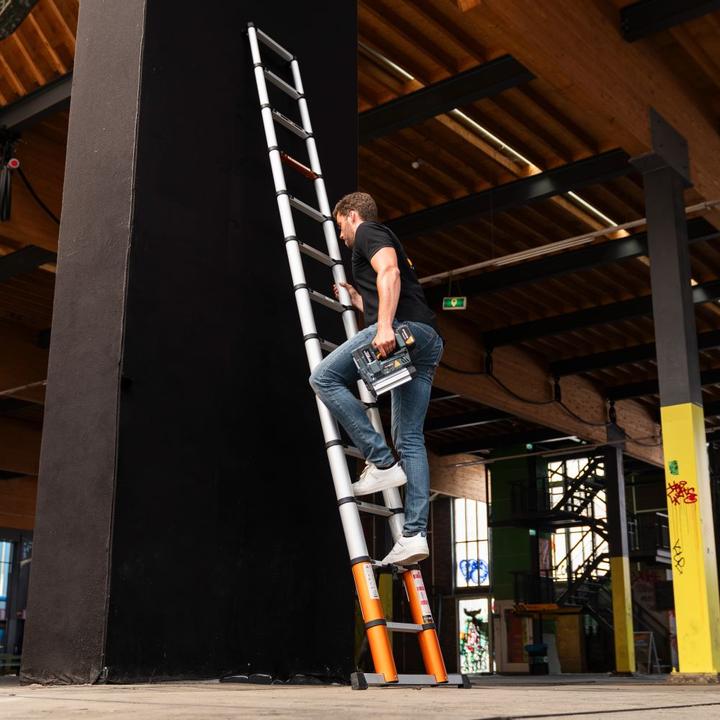 Immagine prodotto Batavia Aria di giraffa (Scala doppia, 380 cm)