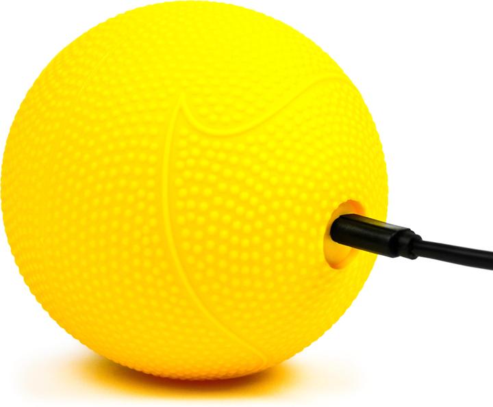 Actual product image Spikeball Spikebrite LED Set