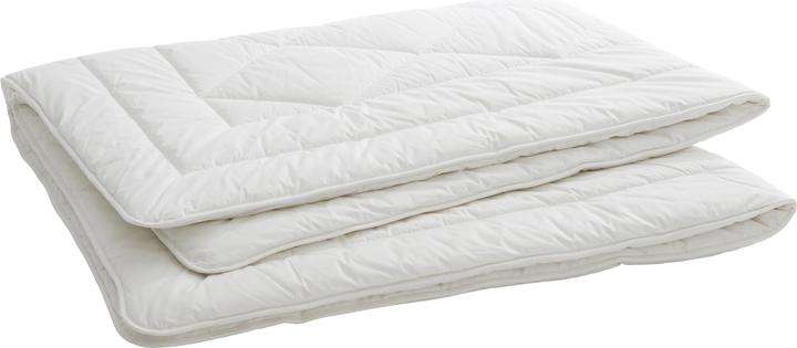 Actual product image Billerbeck Organic Cotton Duo (1900 g, 160 x 240 cm)