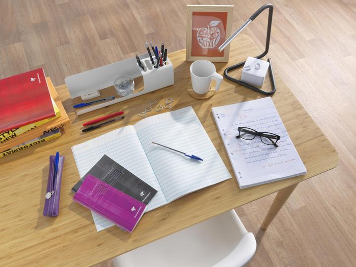 Actual product image Clairefontaine School grade book (A4, Lined, No binding)