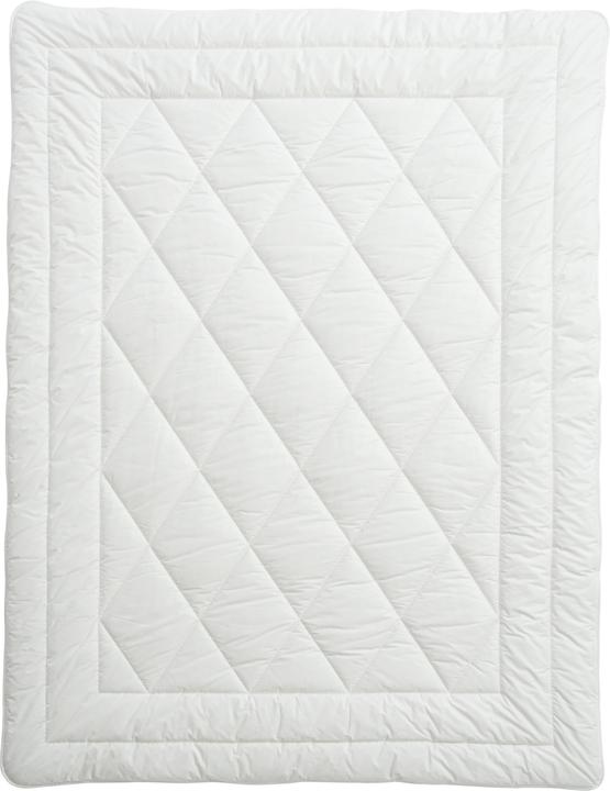 Actual product image Billerbeck Organic Cotton Duo (1900 g, 160 x 240 cm)