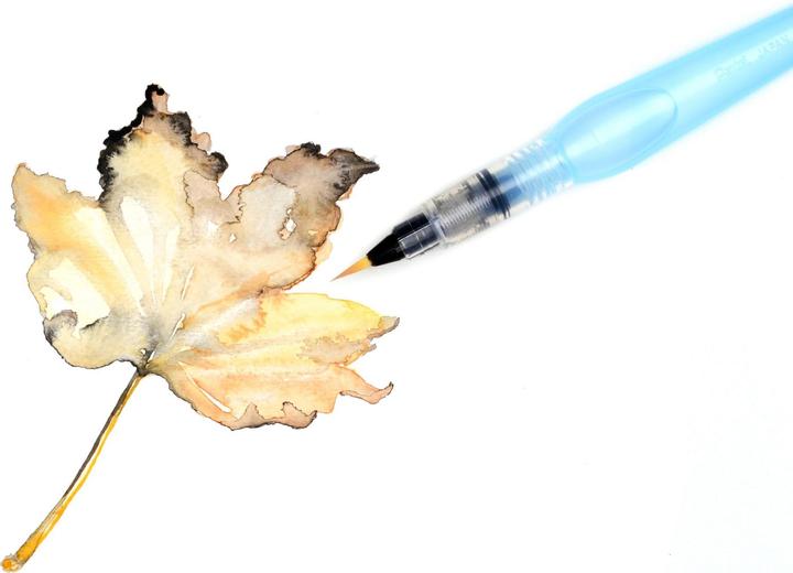 Image du produit Pentel Pinceau Aquash