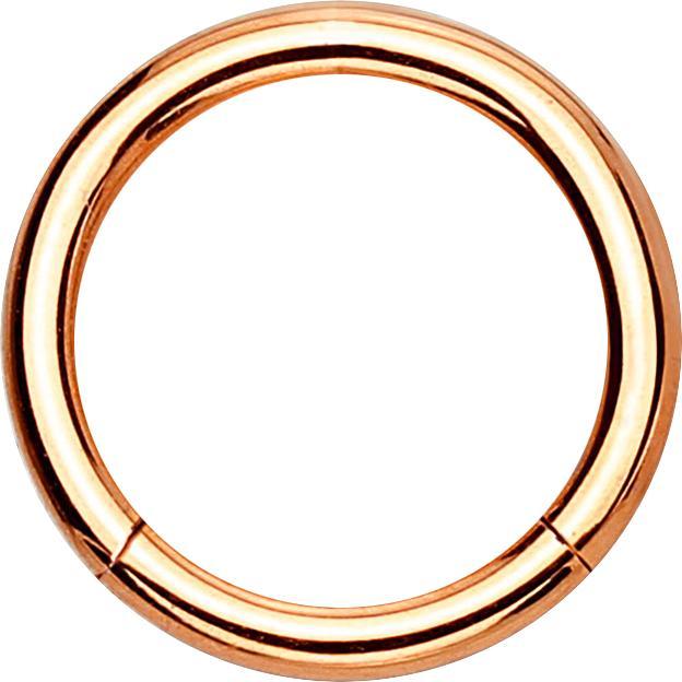 Produktbild Star Piercing Micro Segmentring klappbar rosegold (ohne Messing, Titan G23)