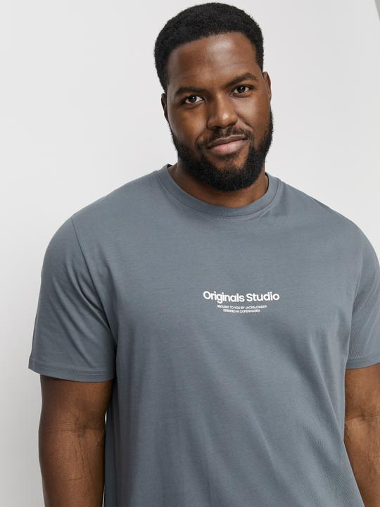 Image du produit Jack & Jones Jorvesterbro Tee Ss Crew Neck Noos Pls (8XL)
