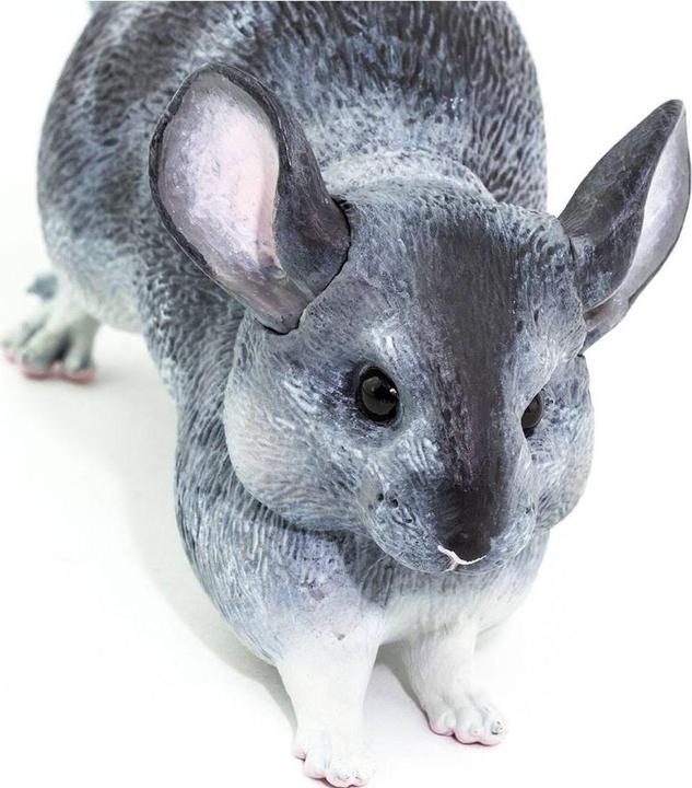 Actual product image Safari Chinchilla