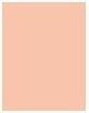 Immagine prodotto Shiseido Fondotinta Total Radiance (Rosa 3)