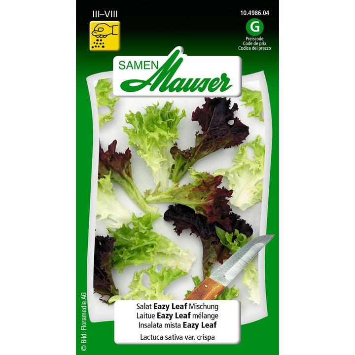 Produktbild Samen Mauser Eazy leaf Mischung (Gemüsesamen)