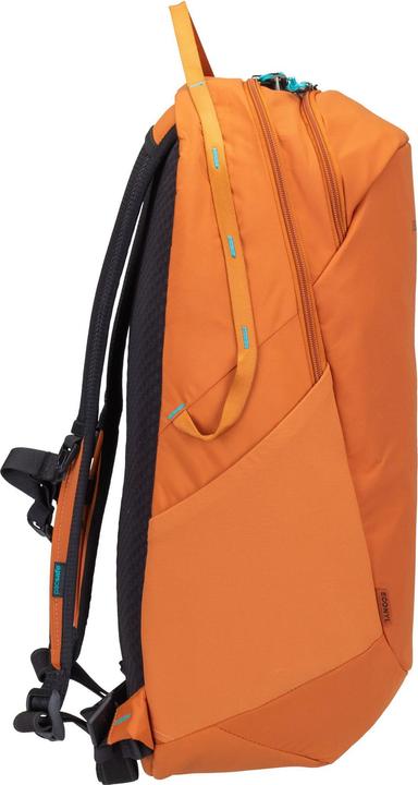 Actual product image Pacsafe Eco (25 l)