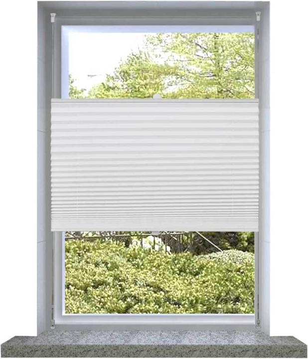 Image du produit VidaXL Rollo (70 x 100 cm)