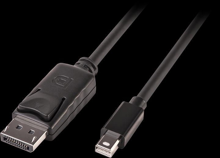 Image du produit Lindy Mini DisplayPort — DisplayPort (2 m, DisplayPort)