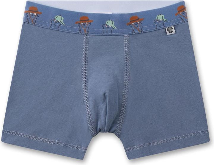 Immagine prodotto Sanetta Boxershort Casual Bequem sitzend (116, Confezione da 5 pezzi)