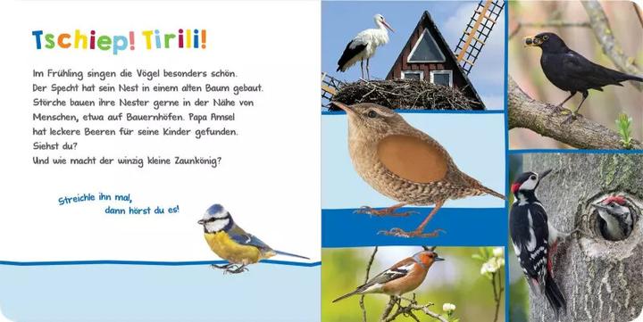 Produktbild Hör mal rein, wer kann das sein? - Im Frühling (Deutsch, 2021)